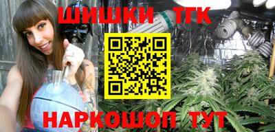 тгк Партизанск