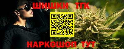 тгк Партизанск