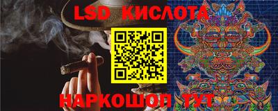 тгк Партизанск