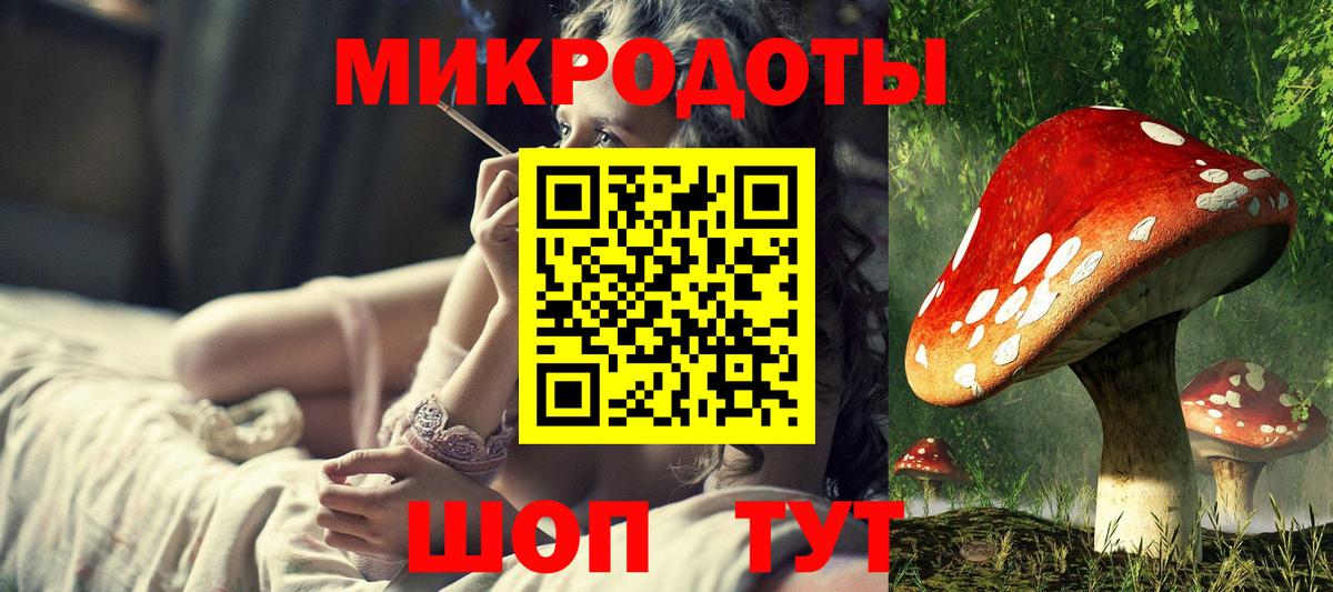 Псилоцибиновые грибы Psilocybine cubensis Ступино