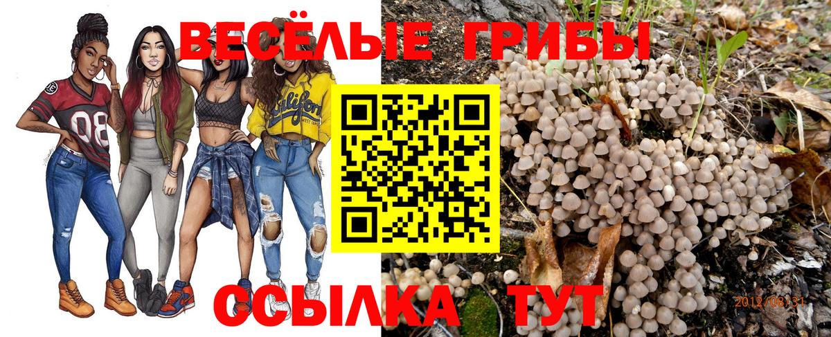 Ступино  Псилоцибиновые грибы GOLDEN TEACHER  Псилоцибиновые грибы мухоморы  где купить наркоту  Вход с VPN 